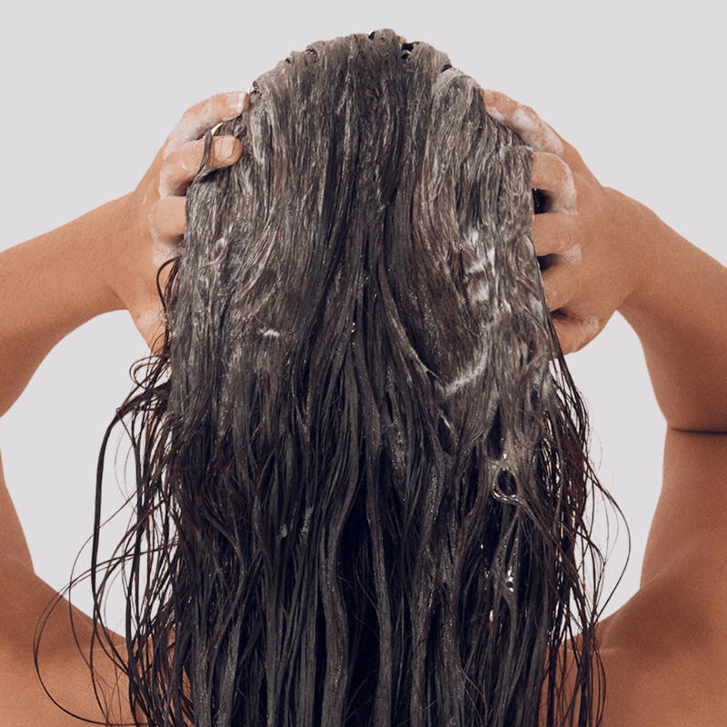 Person with wet hair being massaged with a shampoo bar against a white background