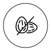 Nut<br>Free