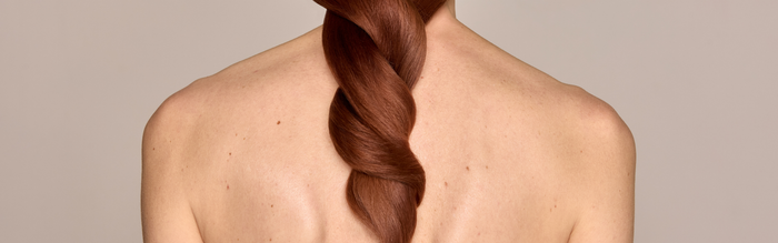 Womens hair twisted falling down back