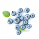 Bilberry Fruit Extract