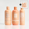 Dry & Damaged Hair Bundle