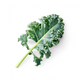 Folic Acid