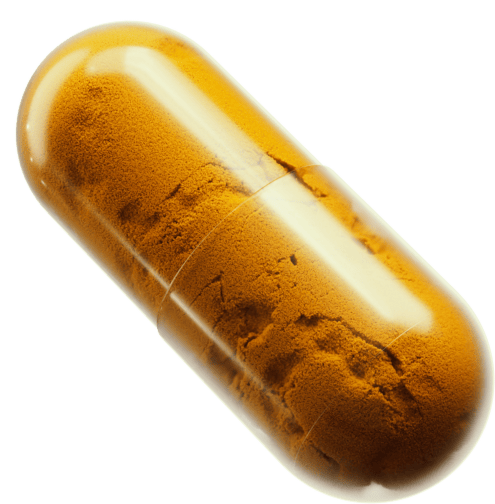 Brown capsule with white center on a white background