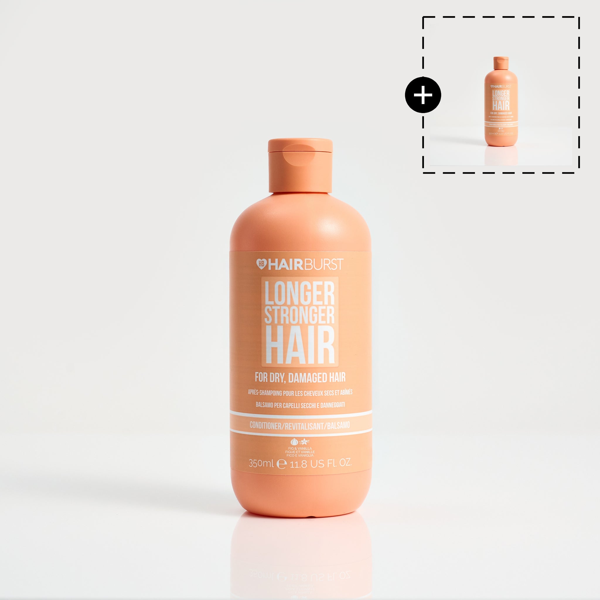 R18 Dry/Damaged Conditioner